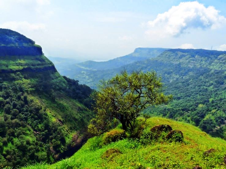 2. Keechakadara